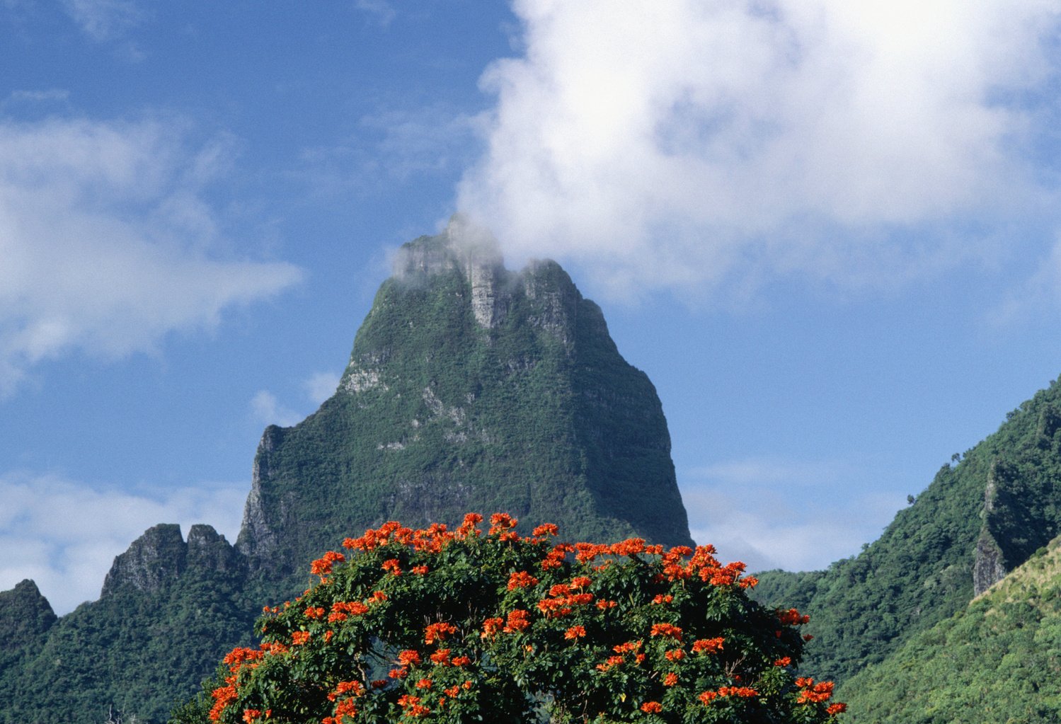 View of mountain, Moorea